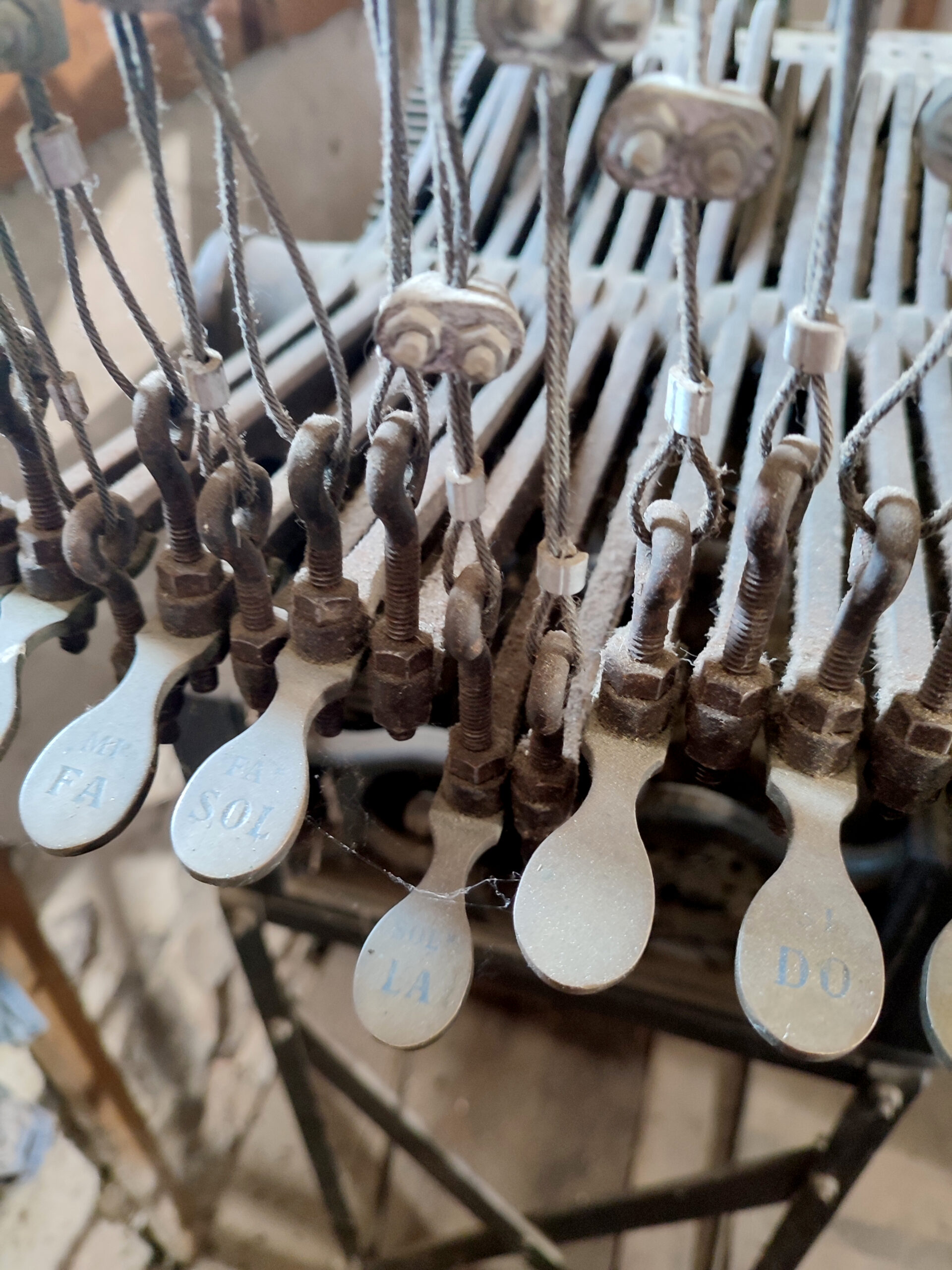 IMG_20230516_110220b